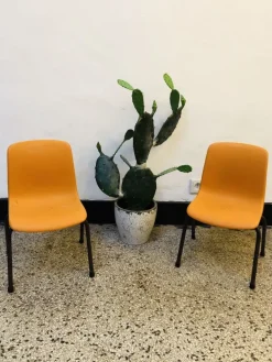 Pamono Set of High Children's Chairs from Grosfillex, 1960s Best