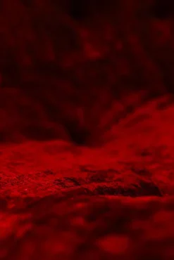 Pamono Set of Kali 3-Seater and 2-Seater Sofa by Michel Ducaroy for Ligne Roset, France, 1970s Clearance