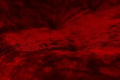 Pamono Set of Kali 3-Seater and 2-Seater Sofa by Michel Ducaroy for Ligne Roset, France, 1970s Clearance