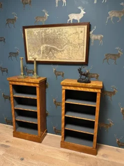 Pamono Small Antique Open Bookcases, 1890s, Set of 2 Sale