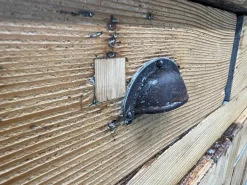 Pamono Small Rustic French Shop Counter, 1890s