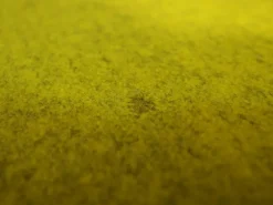 Pamono Space Age Lounge Chair by Jehs+Laub for Fritz Hansen, 2000s Online