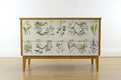 Pamono Swedish Modern Dresser with Nordens Flora Illustrations by C. A. M. Lindman, 1930s Discount