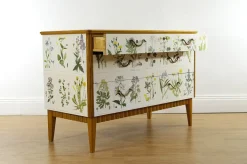 Pamono Swedish Modern Dresser with Nordens Flora Illustrations by C. A. M. Lindman, 1930s Discount