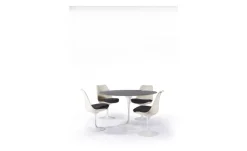 Pamono Swivel Chairs by Eero Saarinen & Knoll International, 1950s, Set of 4 Sale