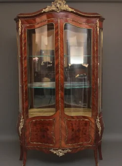 Pamono 19th Century French Kingwood Display Cabinet, 1880s Best
