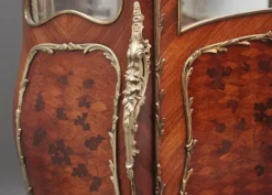 Pamono 19th Century French Kingwood Display Cabinet, 1880s Best