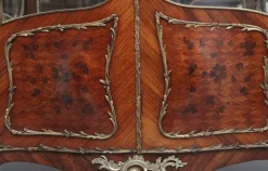 Pamono 19th Century French Kingwood Display Cabinet, 1880s Best