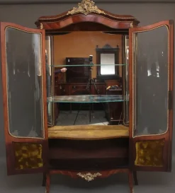 Pamono 19th Century French Kingwood Display Cabinet, 1880s Best