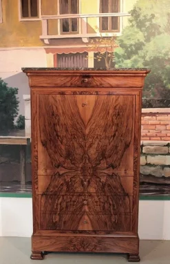 Pamono 19th Century Louis Philippe Walnut Secretaire