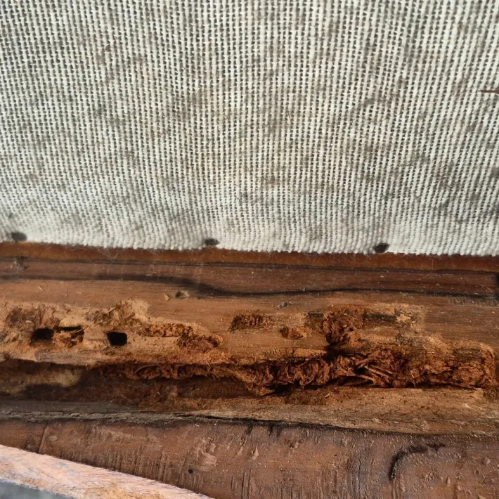 Pamono 19th Century Louis Philippe Boat-Shaped Sofa in Walnut and Velvet Discount