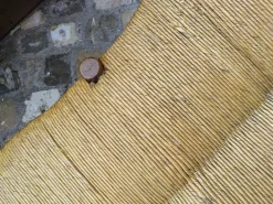 Pamono 19th Century Provencal 3-Seater Sofa in Walnut