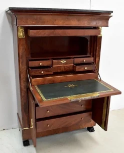 Pamono 19th Century Retour d’Égypte Mahogany Burl Veneer Secretaire Outlet