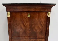 Pamono 19th Century Retour d’Égypte Mahogany Burl Veneer Secretaire Outlet