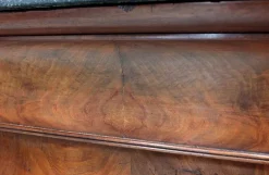 Pamono 19th Century Retour d’Égypte Mahogany Burl Veneer Secretaire Outlet