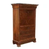 Pamono 19th Century Secretary in Walnut, France Online