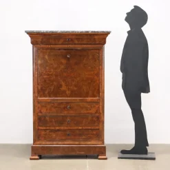 Pamono 19th Century Secretary in Walnut, France Online