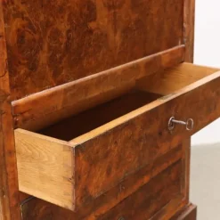 Pamono 19th Century Secretary in Walnut, France Online