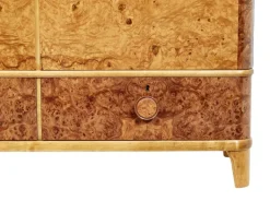 Pamono 20th Century Swedish Burr Elm Cabinet Clearance