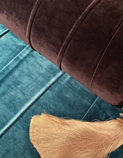 Pamono The Piece 1 Daybed by Il Pezzo Mancante