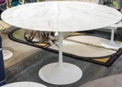 Pamono Tulip Table by Eero Saarinen for Knoll, 1951 Discount
