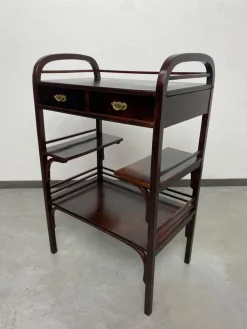 Pamono Vienna Secession Etagere attributed to Koloman Moser and Otto Wagner for Fischel, 1890s Online