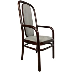 Pamono Vinage Office Chair by Antonín Šuman for Ton, 1960s Clearance