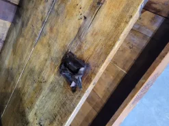 Pamono Vintage Cabinet in Cherry Wood Best