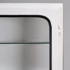 Pamono Vintage Iron and Glass Medical Cabinet, 1970s Hot