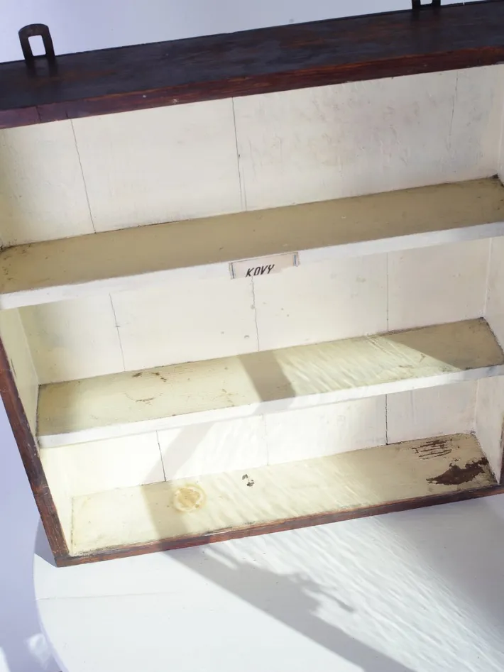 Pamono Vintage Pharmacy Cabinet, 1960s Online