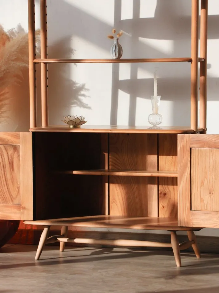 Pamono Vintage Windsor/Giraffe Bookcase by Lucian Ercolani for Ercol, 1960s Best