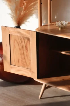 Pamono Vintage Windsor/Giraffe Bookcase by Lucian Ercolani for Ercol, 1960s Best