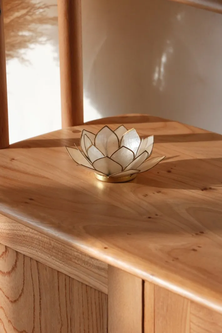 Pamono Vintage Windsor/Giraffe Bookcase by Lucian Ercolani for Ercol, 1960s Best