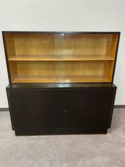 Pamono Wall Units by Jindřich Halabala for Up Závody, 1930s, Set of 2