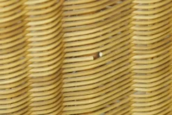 Pamono Wicker Bed by Adalberto Dal Lago, 1960s Clearance