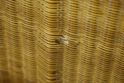 Pamono Wicker Bed by Adalberto Dal Lago, 1960s Clearance