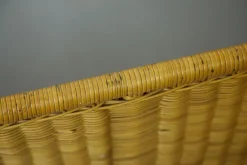 Pamono Wicker Bed by Adalberto Dal Lago, 1960s Clearance